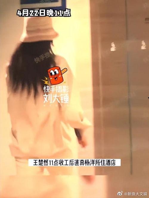 爆料王楚然杨洋视频播放,播放量激增引发热议
