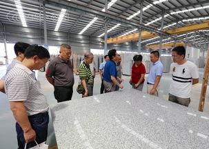 麻城石材厂爆料视频播放,揭秘行业黑幕与环保问题