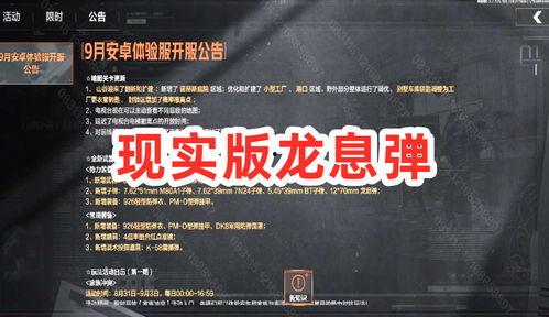 暗区体验服最新爆料物品,神秘物品震撼登场，揭秘未知力量之谜