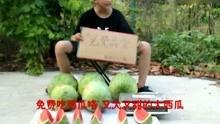 搞笑娱乐吃瓜视频大全集